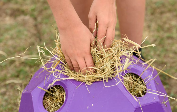 Parallax Hay Play image 11